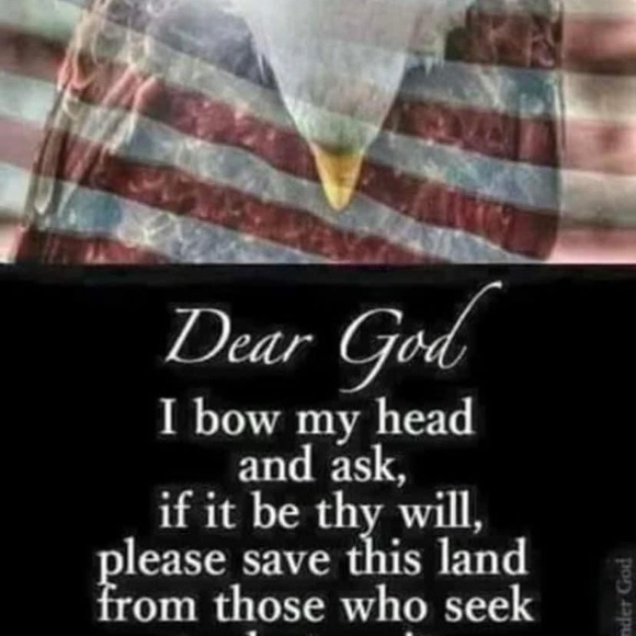 Meet your Posher, Jason - Picture 7 of 16